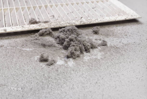 Best Dryer Vent Cleaning Services  in Maple Lake, MN