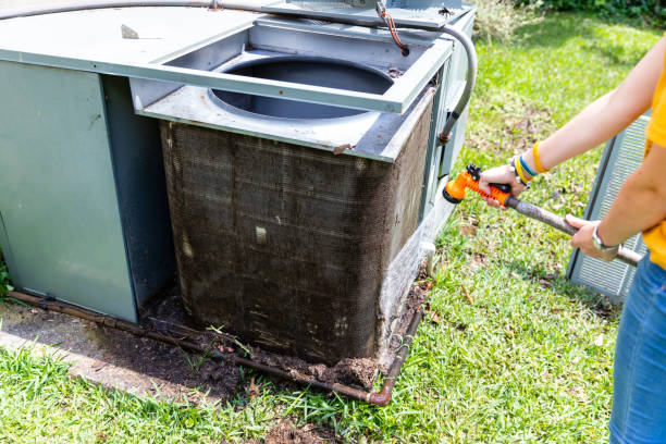 Best HVAC Air Duct Cleaning  in Maple Lake, MN