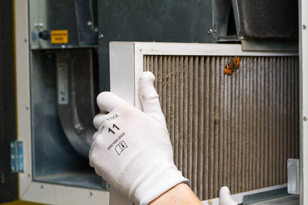 Best Local Air Duct Cleaning Services  in Maple Lake, MN