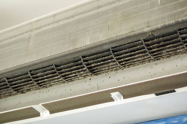 Best HVAC Air Duct Cleaning  in Maple Lake, MN