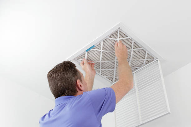 Best Ductwork Cleaning Services  in Maple Lake, MN